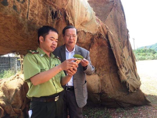 Chủ[-]doanh[-]nghiệp[-]bác[-]việc[-]chở[-]3[-]cây[-]"quái[-]thú"[-]cho[-]một[-]Thiếu[-]tướng?